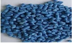 Control Caracol Africano | controlintegralplagas.com