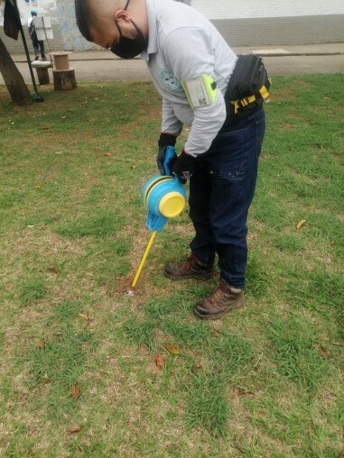 Control hormigas | controlintegralplagas.com