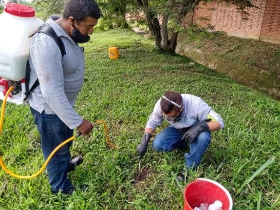 Control hormigas | controlintegralplagas.com