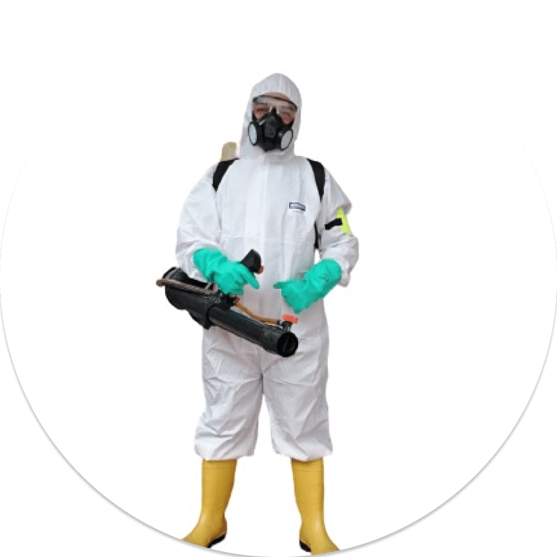 Limpieza y desinfección | controlintegralplagas.com