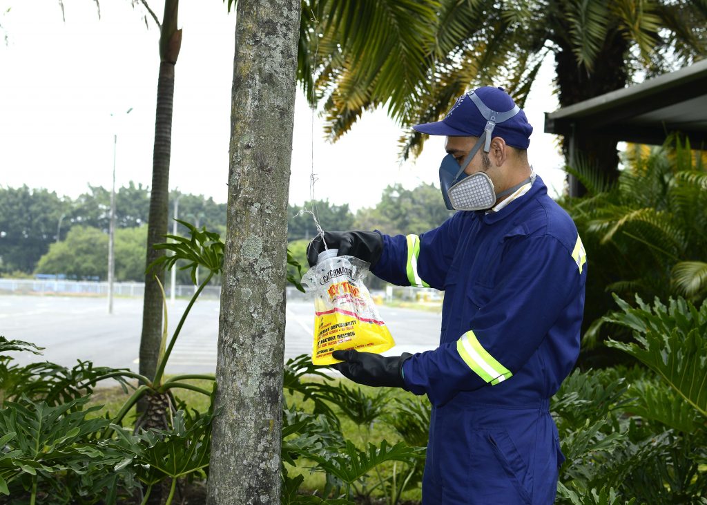 TRAMPA MOSCAS | controlintegralplagas.com