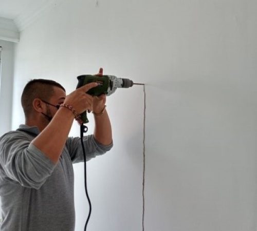 Procedimientos de control Termita Subterráneas | controlintegralplagas.com